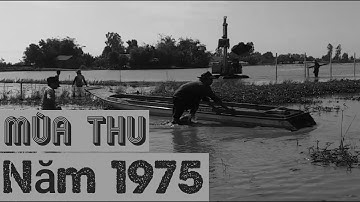 Công việc thường ngày | cách đóng cọc sắt | thi công hàng rào trên cao tốc Lộ Tẻ Rạch Sỏi |