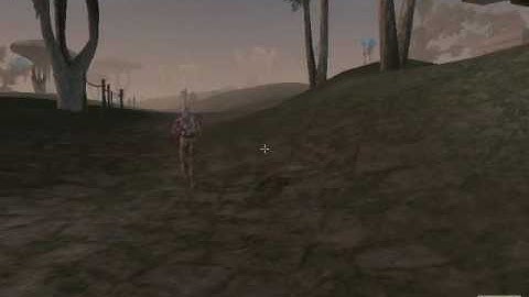 Lets Interactively Play Morrowind Part 168: Forking Around (part 3 of 4)