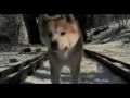 Hachi A Dog S Story 2009 Nederlands Ondereld