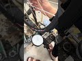 IMG 3805