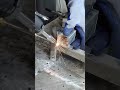 #stickwelding #arcwelding #arcwelding #laserwelding