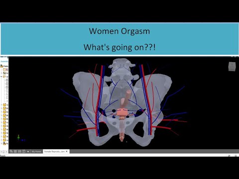 How women reach orgasm, how long the intercourse lasts, Men in bed