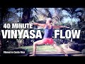 40 Minute Vinyasa Flow Yoga Class - Five Parks Yoga (First class from Costa Rica)