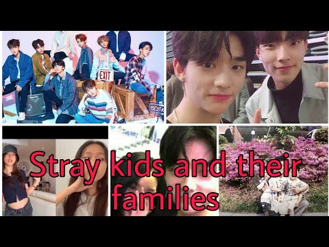 Meet Stray kids Families #straykids#straykidsfamily#sister#brother#parents