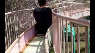 元日本一長い滑り台撤去へ 観測所雑記帳 元日本一長い滑り台撤去へ 観測所雑記帳