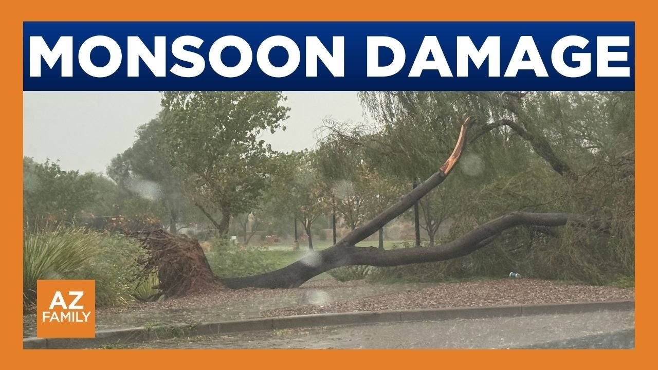 Monsoon storm causes damage across Phoenix area - YouTube