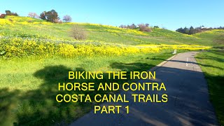 Biking the Contra Costa Canal and Iron Horse Trails Part 1: Concord to Walnut Creek, California