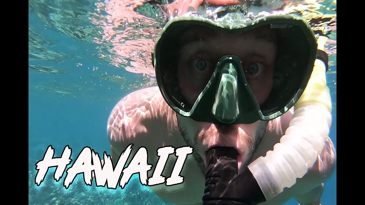 Snorkeling day in Kona Hawaii gopro hero 7 YouTube