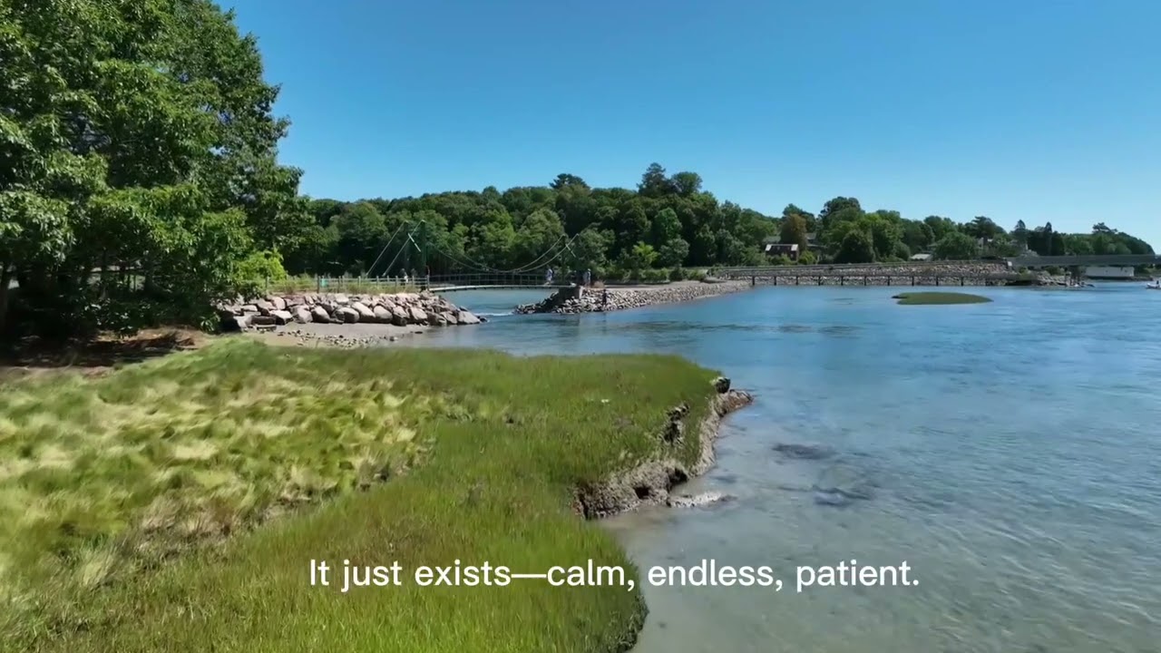 Reflections of the Lake| Mountain 