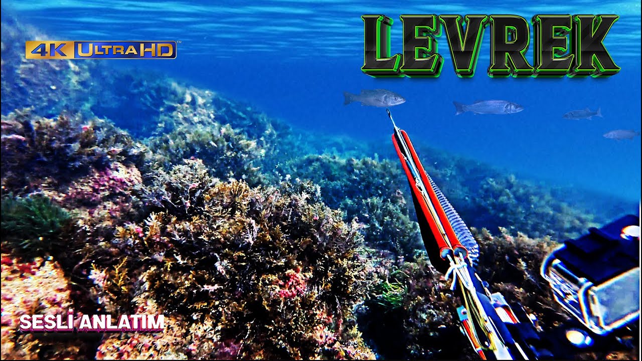 Подводная охота в Мраморном море! / Черная прибрежная охота / Аудиоописание / Варианты субтитров