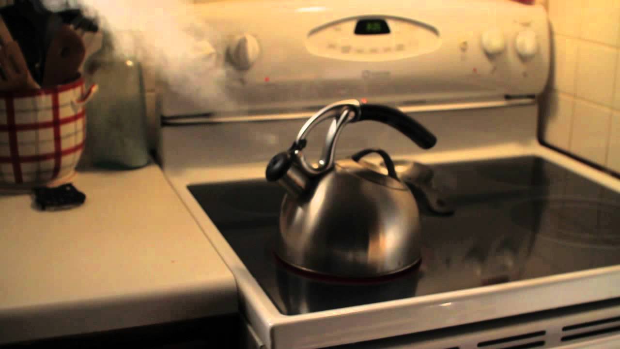 TESLA MIC COMMERCIAL