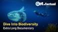 The Fascinating World of Marine Biology: Unlocking the Secrets of the Deep ile ilgili video