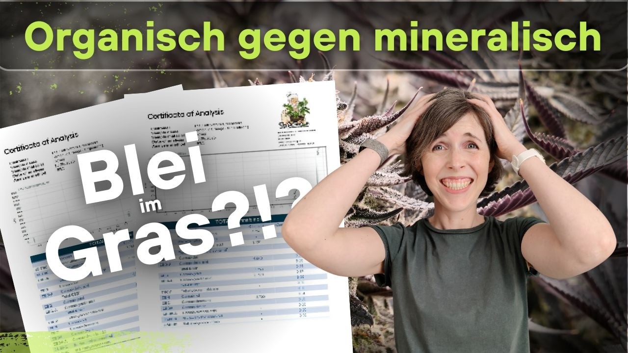 Die Laborwerte - Vergleichs-Grow: Organisch vs. Mineralisch Teil 4