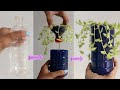 Bulbs How To Plant Watering Use