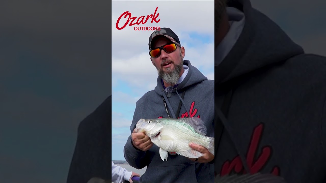 Crappie are lazy fish 😴 How to get them to bite 