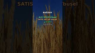 Güncel Kıymetli Madenler ve Emtia Fiyatları | 21.04.2026 19:02 #shorts