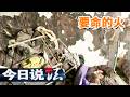 《今日说法》女子入住高档小区却殒命火海 关键时刻设施全部失效 悲剧该由谁来买单？20090918 | 今日法案