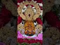 jai shree shyam #khatushyamji #shyam #jaishreeshyam #shorts #shyambaba #shyambhajan #shyamreel
