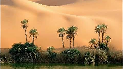 ماتيسر من سورة البقرة بصوت القارئ عبد المنعم الطوخي