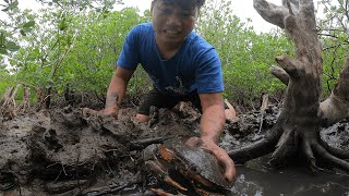 Skillful Finger Grabbing Huge Mud Crab From Small Hole | Fishing Man Digging for King Mud Crab