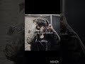 Happy b'day j-hope💜 #bts #newmusic #army #relatable #jhope #reels #recommended