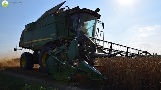 John Deere S 560 𝒊 - Trebbiatura Grano Ibrido | Hybrid Wheat Harvest