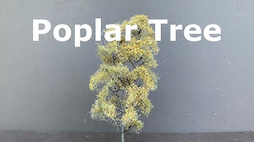 Making a DIY Model Poplar Tree from Faller