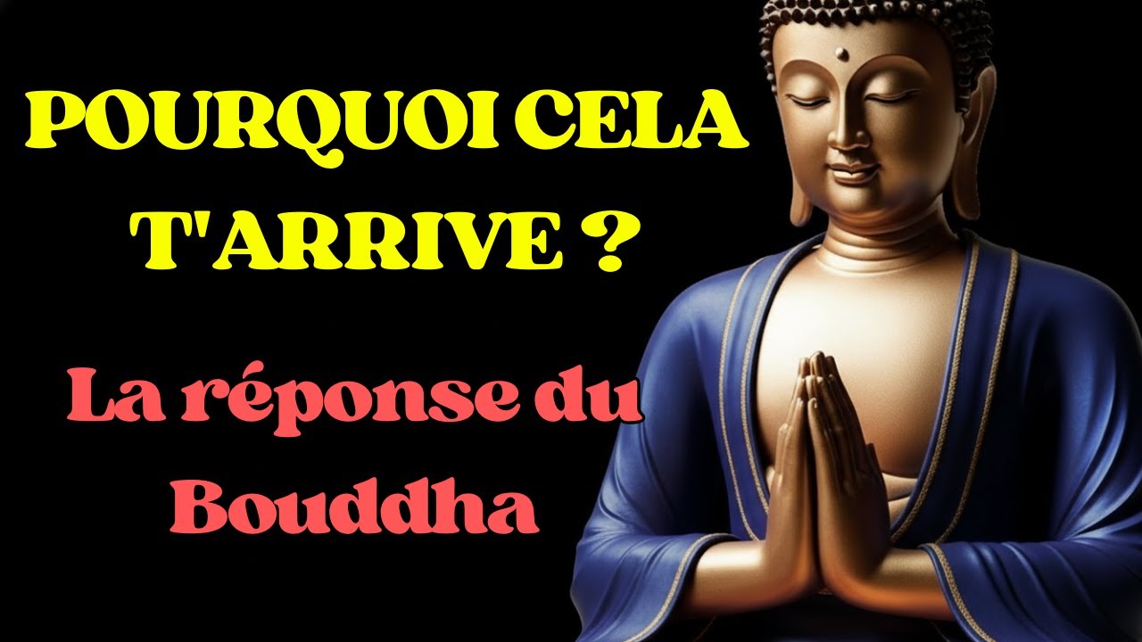Pourquoi Cela M'Arrive t il ? La Réponse du Bouddhisme Qui Transforme TOUT À Voir Absolument ✨
