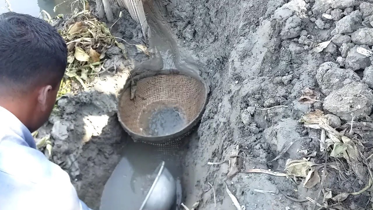 Traditional Best Basket Fishing Best Mud Water Catfish Fishing By