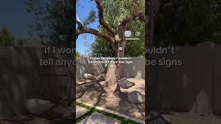 Solara in Scottsdale, AZ | GoodNight Stay