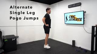 Alternate Single Leg Pogo Jumps