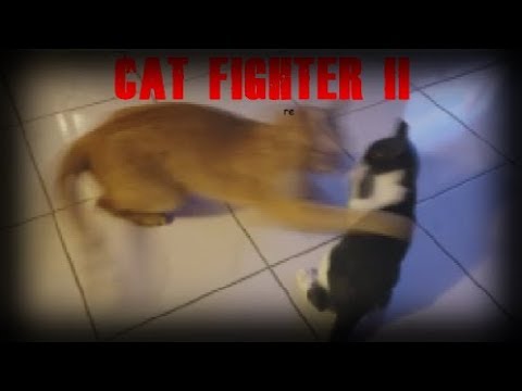 Cat Fighter II (Street Fighter Parody) - Krasen Makes Content - Cat Fighter II (Street Fighter Parody) - Krasen Makes Content