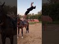 الخيل كان هيوقعني
