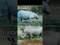 5 Asian Animals VS 5 African Animals l AFRICAN LION VS ASIATIC LION  #animals  #shorts #lion