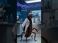 l🔥 Funny Cockroach 😂 | MPPSC Scientific Officer 2026 📚