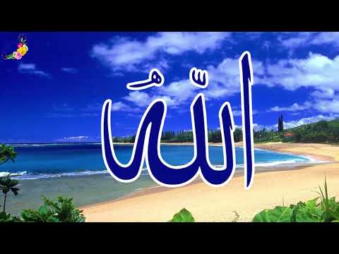 تمتع بتلاوة الشيخ ياسر سلامة من سورة هود بالتفسير المصور المقطع الأول