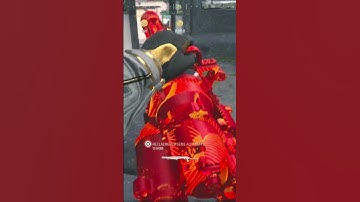 Enemy Operator Weapon Number 1699 | Call of Duty MW3 #shorts #mw3 #modernwarfare3 #mw3clips