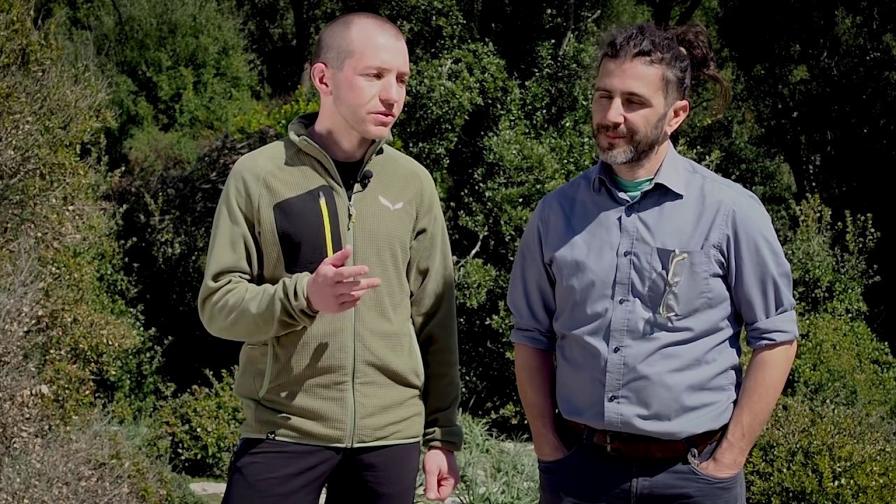 Bosco ceduo e sostenibilità