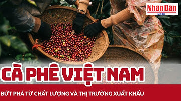 Cà phê Việt Nam bứt phá từ chất lượng và thị trường xuất khẩu | Báo Nhân Dân