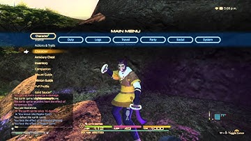 FINAL FANTASY XIV: A Realm Reborn Ps4 - Archer/Pug