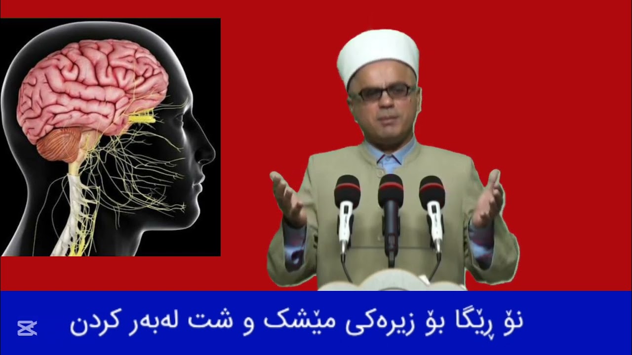  نۆ ڕێگا بۆ زیرەکی مێشک مامۆستاتاهیرکەلەباشی