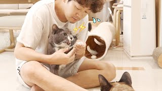 I Taught Soo How to Trim Cats’ Nails