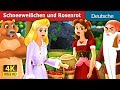 Märchen Schneeweißchen Und Rosenrot Kurzfassung