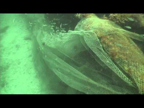 Martin County Artificial Reef - Pecks Barge by Mik...