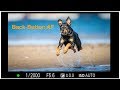 Back-Button AF on Sony Alpha Cameras