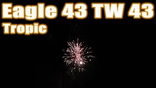Eagle 43 │ Tropic │ Zünd-Idee