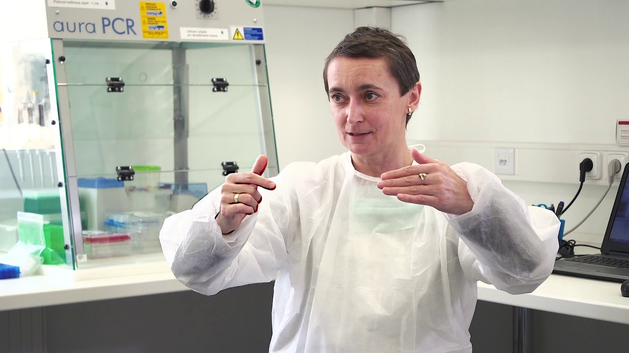 Co je koronavir? Kde se vzala epidemie COVID-19? Pochází z čínské laboratoře?