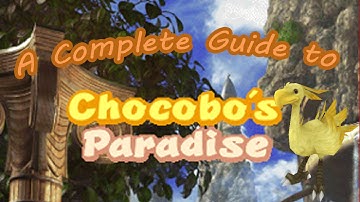 Final Fantasy IX | Loose Ends | Chocobo