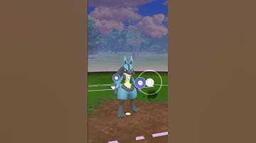 Ik heb tegen Giovanni gevochten