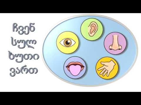 შეგრძნების ორგანოები